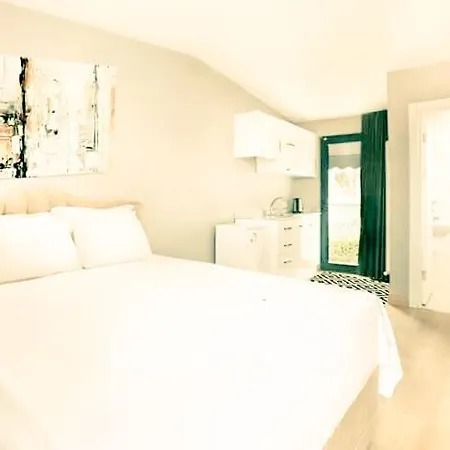 Sultanahmet Hera Apartment *